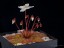 Drosera monantha with flowers DMOA1