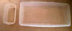 sterilite trays for the sundew tray method